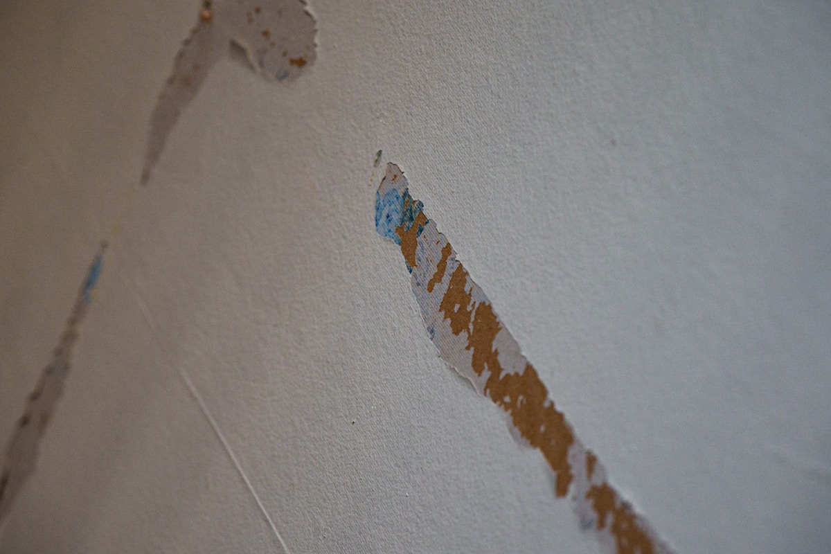 Flood Cleanup service in Sunrise, FL